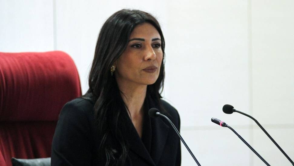 Özdenefe: Hükümete geldikten sonra 12-15 ay içerisinde nüfus sayımı yapılacak